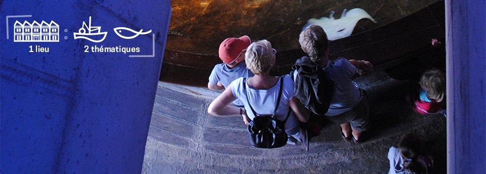 MARÉIS - Centre de découverte de la pêche en mer