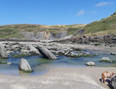 Plage - Crique de la Crevasse