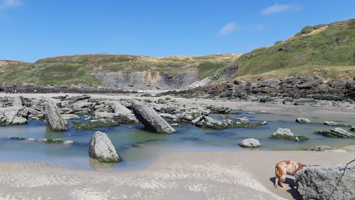 Plage - Crique de la Crevasse